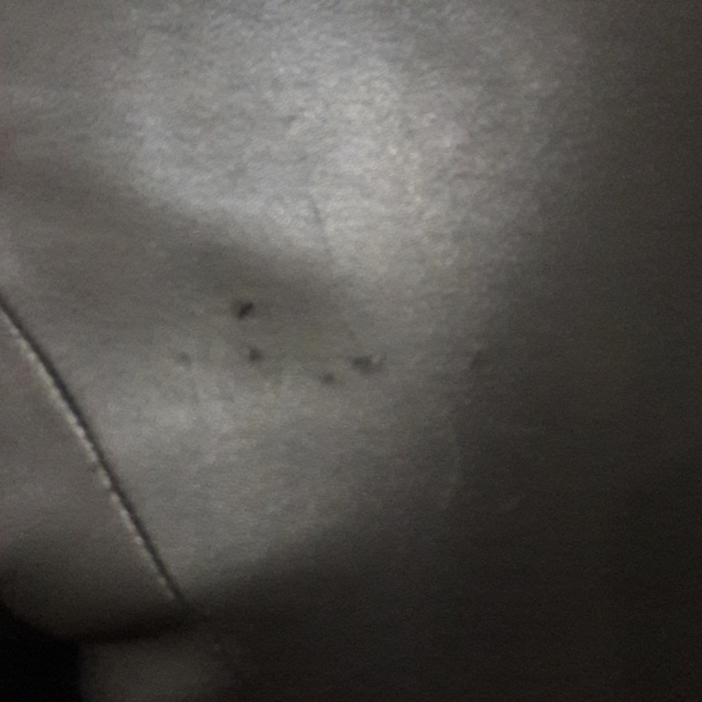Anersen Leather jacket - Picture 4 of 8